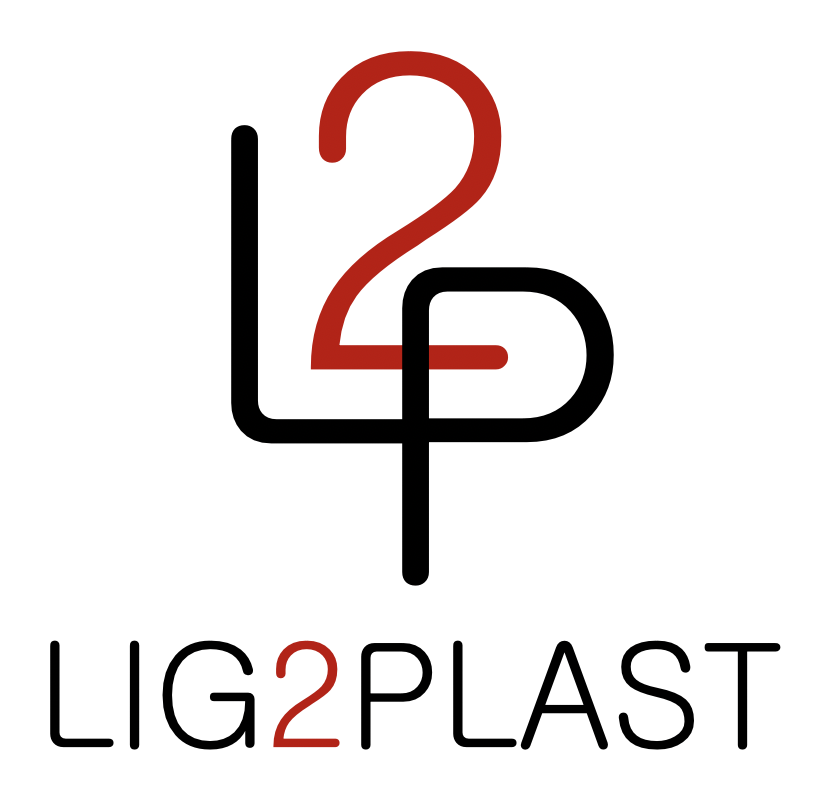 LOGO LIG2PLAST